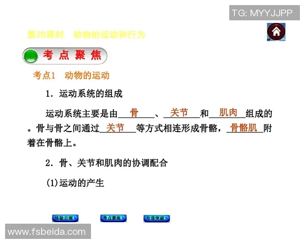 西安极限运动队中路突破战术解析与实践探讨
